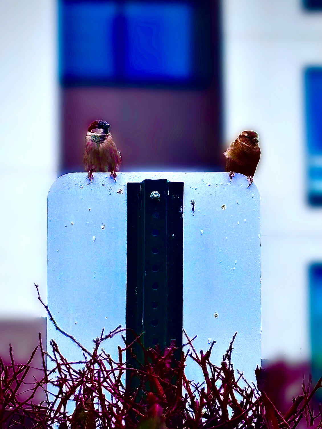 She’s Looking Good Today!