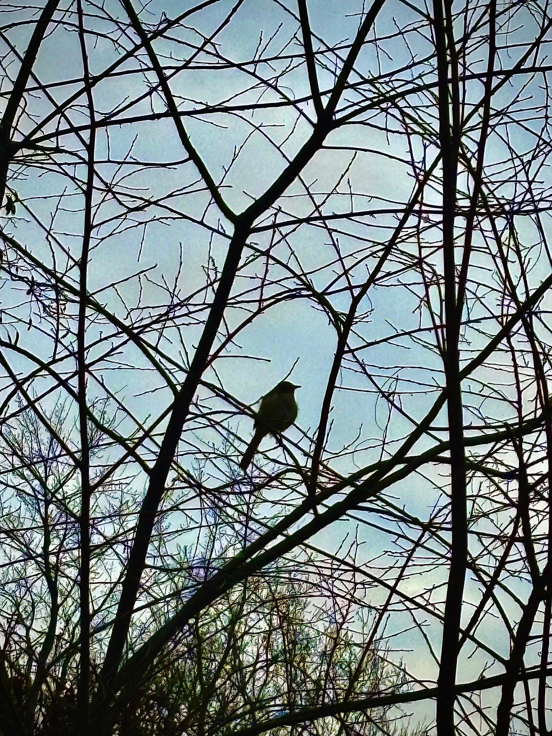 It’s getting a little cold…