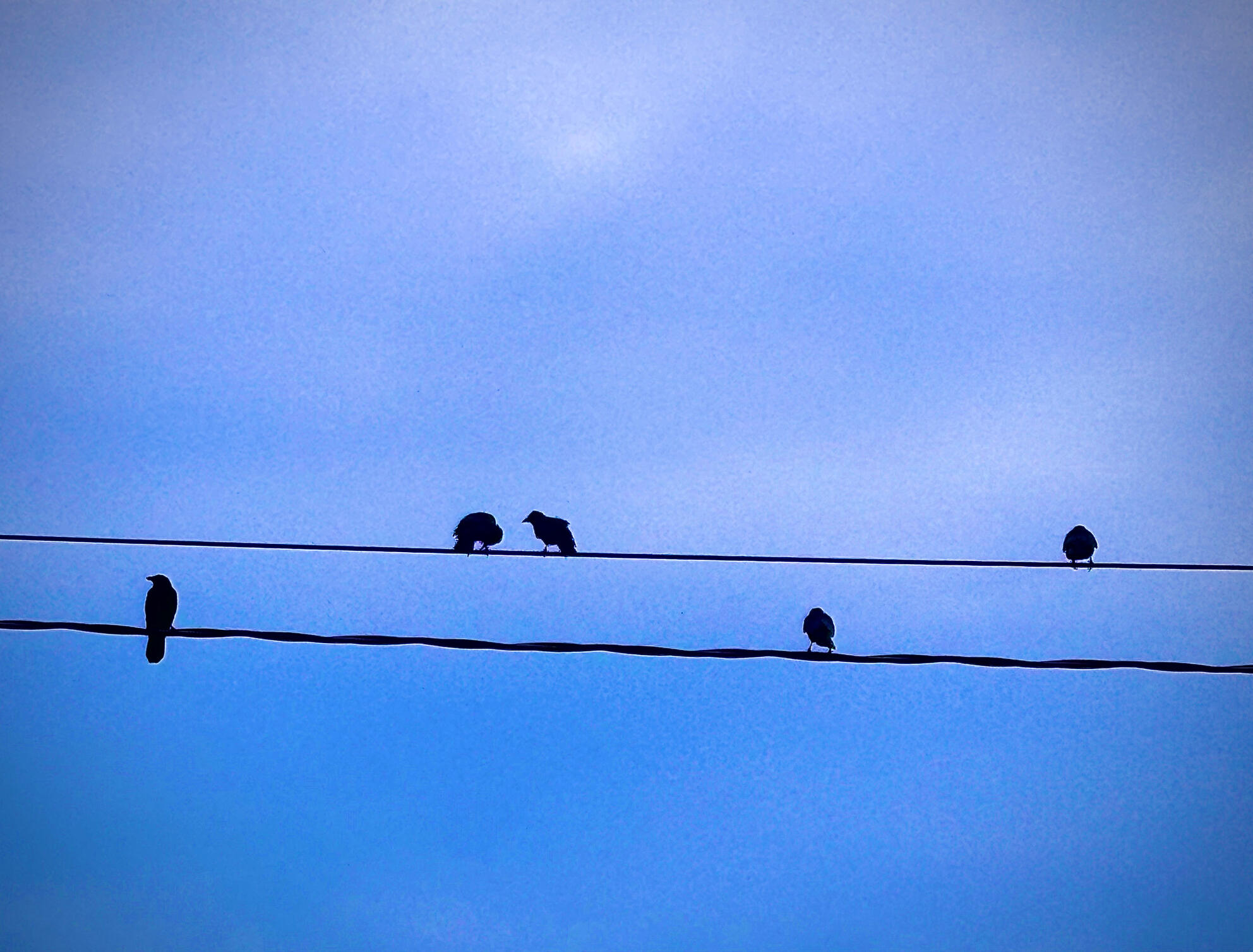 It’s Getting A Little Chilly Out.