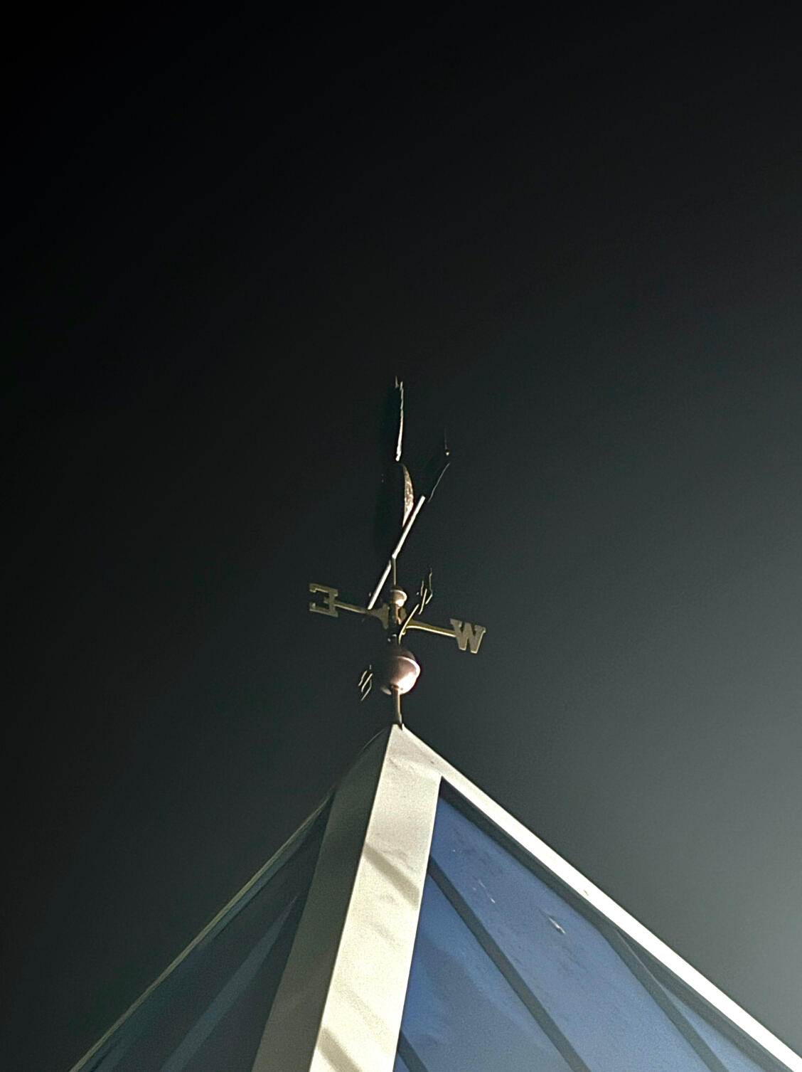 Need help finding your way?